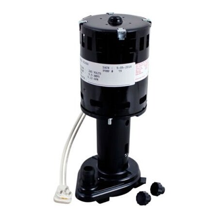 Allpoints 8011306 Water Pump - 240V For Ice-O-Matic